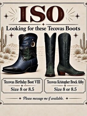 Tecovas In Search Of Boots